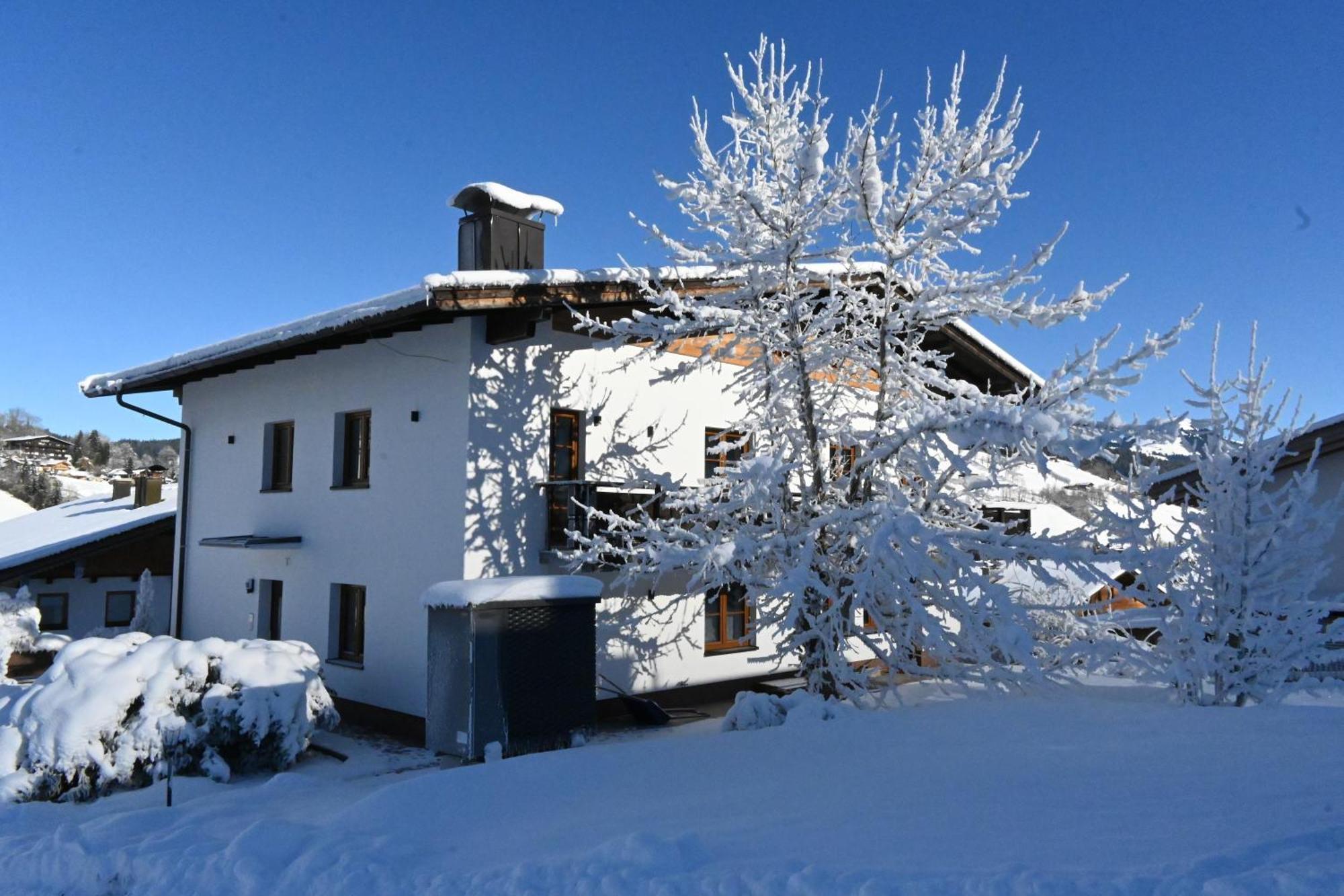 Nicky Apartments And Studios Niederau Exterior photo